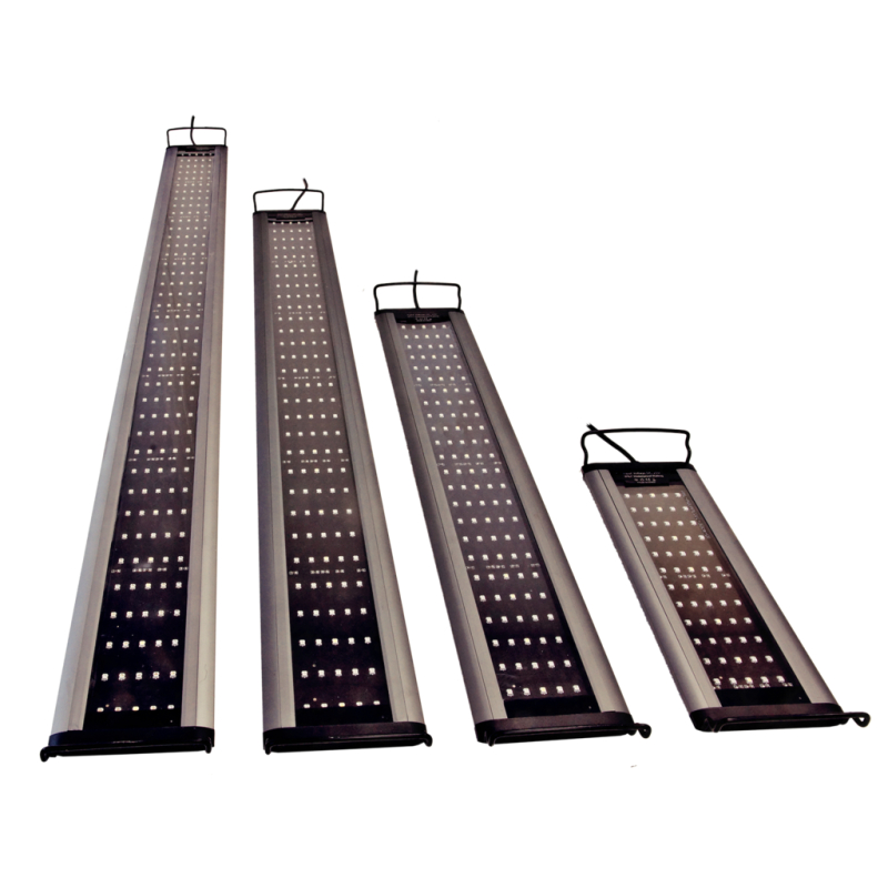 Sunbeam 60 Aquamedic