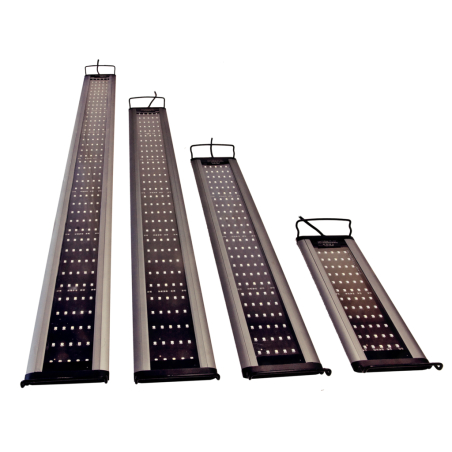 Sunbeam 60 Aquamedic