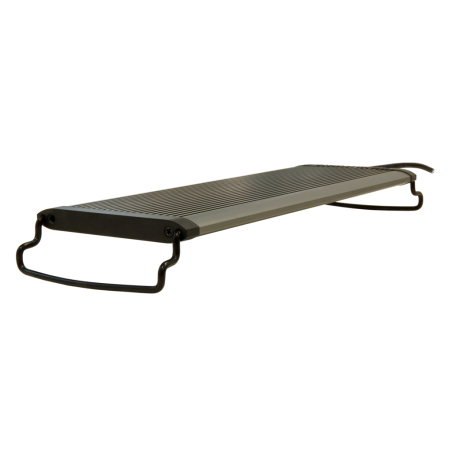 Sunbeam 60 Aquamedic