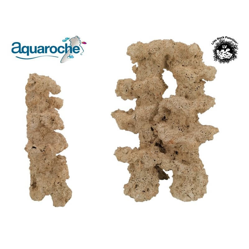Reef scene arrière plat 45cm de haut - Aquaroche