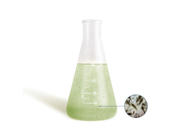 BEA N ADSORB 500ml
