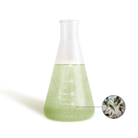 BEA N ADSORB 500ml