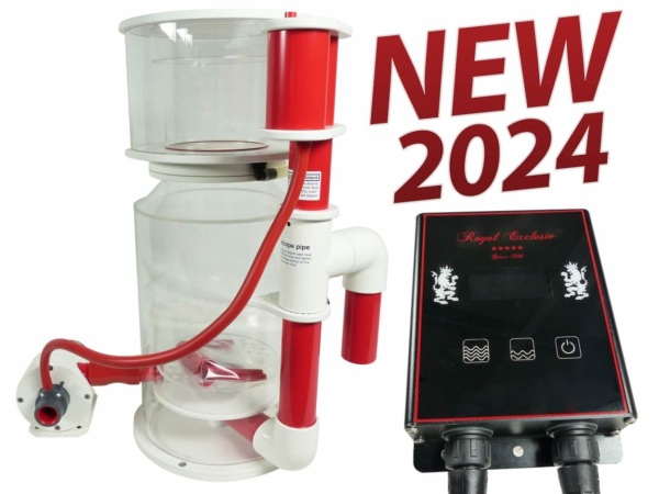Bubble King DeLuxe 250 Internal with BK DC New version Royal Exclusiv 77-BKDC-2