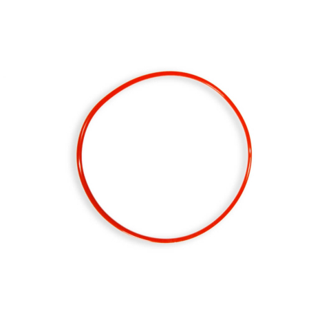 RD5 ECO spare parts 90 x 2,5 Royal Exclusiv O-RING Rotor 90 x 2,5 mm for 200W FLOW
