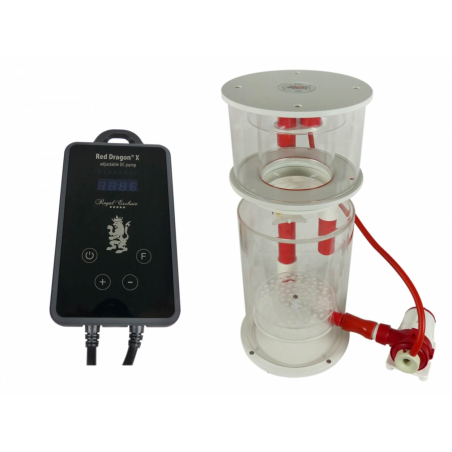 Bubble King DeLuxe 250 Interno con RDX Royal Exclusiv 77-RDX2