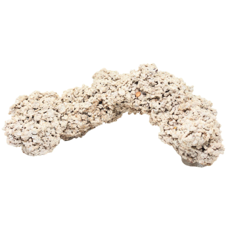 Plataforma +25 cm sembradas piedras vivas por Kg