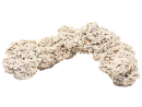 Plataforma +25 cm sembradas piedras vivas por Kg
