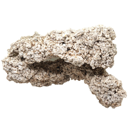 Plataforma +25 cm sembradas piedras vivas por Kg