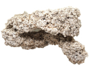 Plateau +25 cm seeded with live rocks per Kg