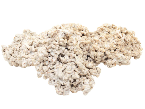 Plateau 15-25 cm ensemencées pierres vivantes au Kg 