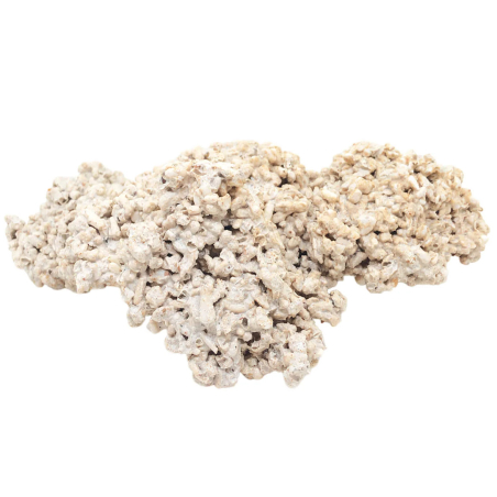 Plateau 15-25 cm ensemencées pierres vivantes au Kg 