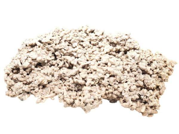 Ovaloîdes +25 cm ensemencées pierres vivantes au Kg 