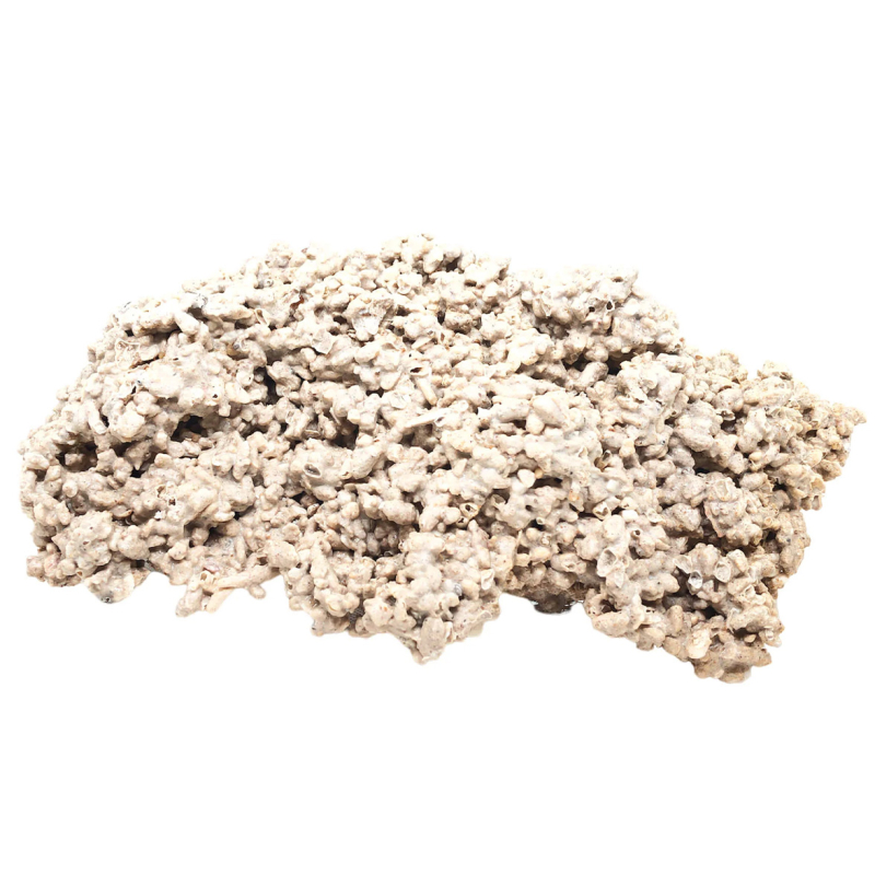 Ovaloids +25 cm seeded live rocks by the Kg