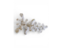 Ovaloids +25 cm seeded live rocks by the Kg