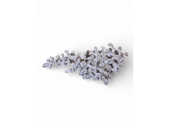 Ovaloides +25 cm sembradas con piedras vivas por Kg