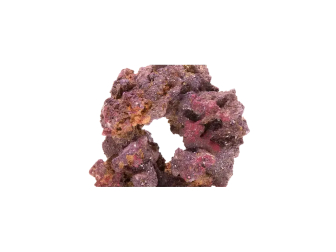 new