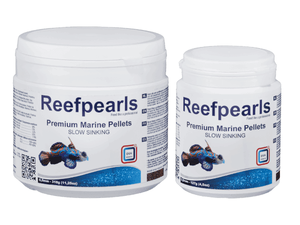 new