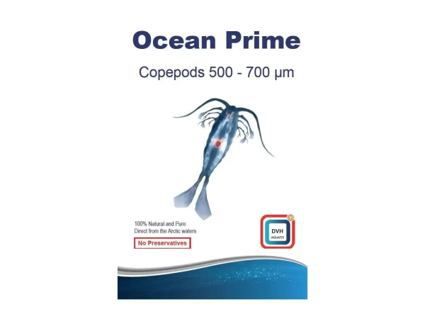 Ocean Prime - Copépodes 500-700 microns