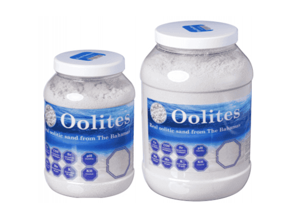 new