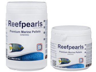 new