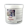 DSR - Reef Cement, for aquascaping récifal, fixe roches et coraux, (5 minutes) 0,7 kg