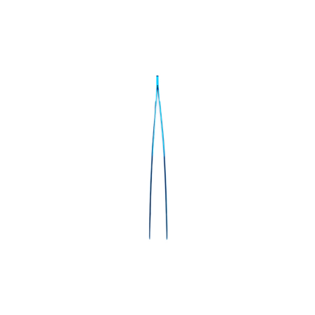 Titanium Forceps 30cm straight Marine direct