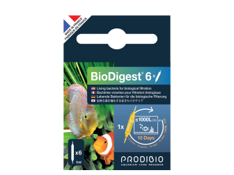 Bio Digest 6 Ampoules Bactéries Prodibio