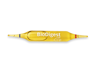 Bio Digest 6 Ampullen Bakterien