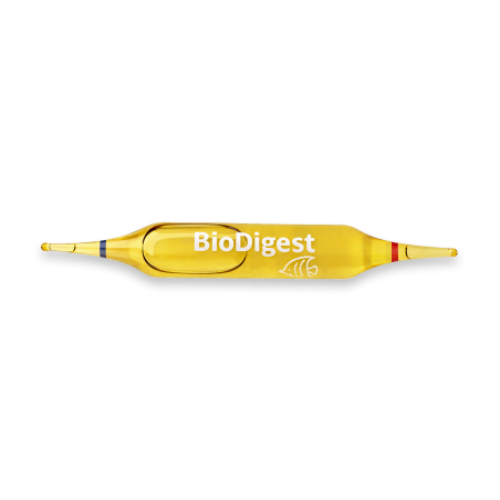 Bio Digest 6 Ampoules Bactéries