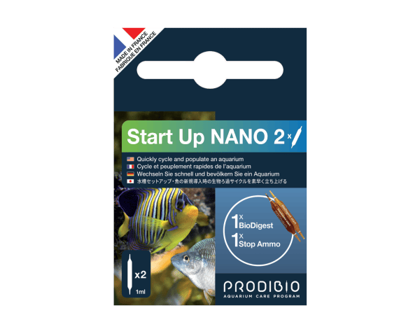Start Up Nano 2 AMPOLLE