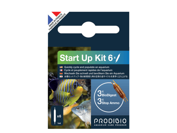 START UP 6 AMPOLLAS