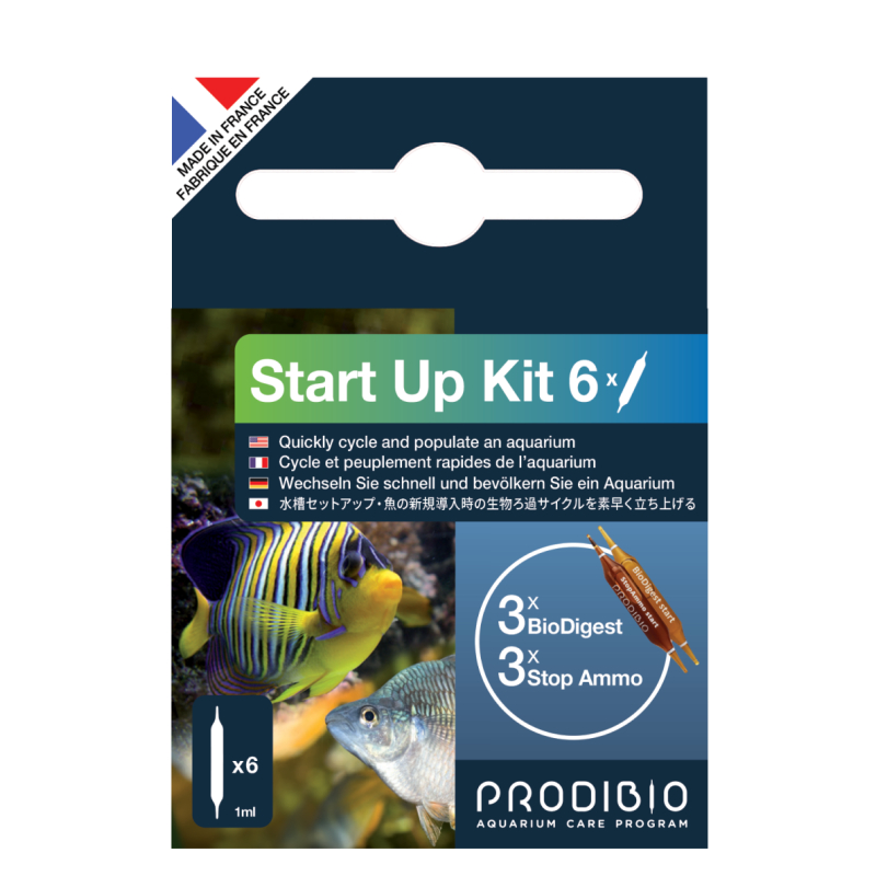 START UP 6 AMPOULES Prodibio