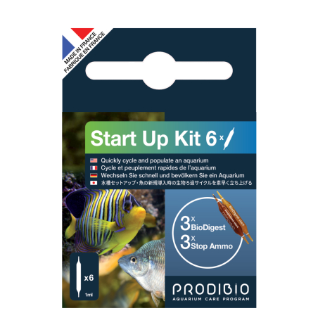 START UP 6 AMPOLLAS