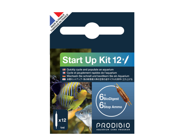 START UP 12 AMPOLLE