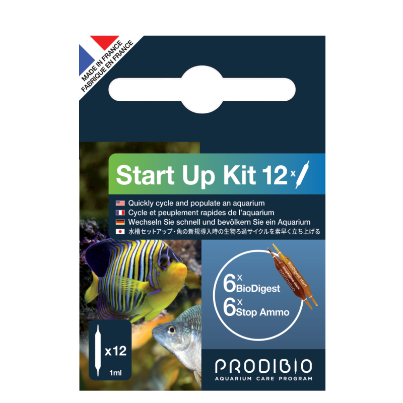START UP 12 AMPOLLE