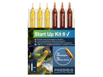 START UP 6 AMPOLLAS