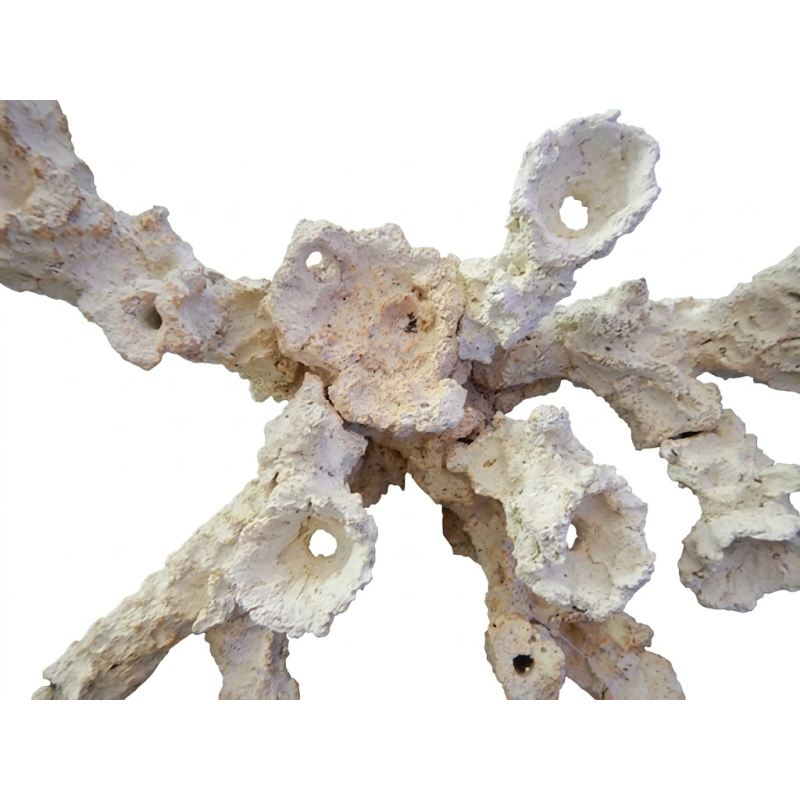 Set 60x35x35 cm Acroporock - Aquaroche 699710