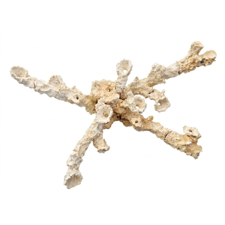 Set 60x35x35 cm Acroporock - Aquaroche 699710