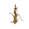 Vigne RARE rouge L 30-50cm