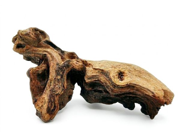 MOPANI ROOT PM 10-25CM