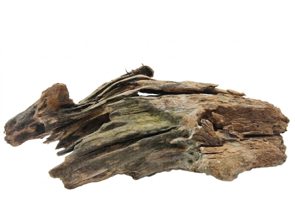 MALAYSIAN ROOT SM 26-32CM