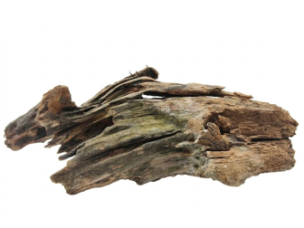 MALAYSIAN ROOT SM 26-32CM