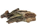 MALAYSIAN ROOT SM 26-32CM
