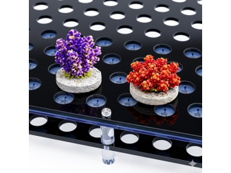 DVH - Estante de Frag Pro+ 37.5x29cm (14.8x11.4 in) hasta 149 frags
