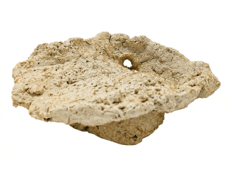 Soporte de base para bénitier - Aquaroche