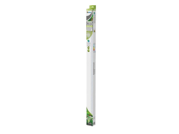 RETRO LED BRIGHT T8&JT5100CM/38W SUPERFISH