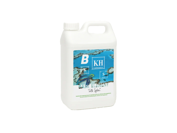 Base Element B 5L