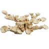 Acroporock XL Kit 13 pieces - Aquaroche 619780