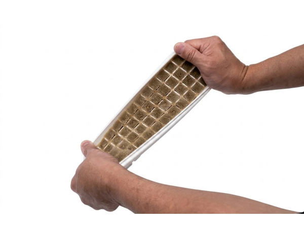 Alimentos Congelados Moho - Maxspect