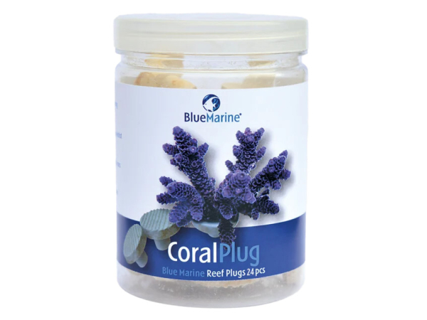 CORAL PLUG 24 PCSBLUE MARINE
